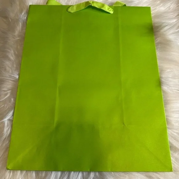 🩷5/$10 Lime Green gift Bag