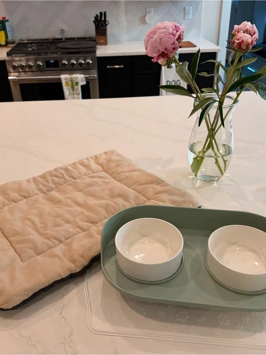 Mint Elevated Pet Bowl Set with Pet Placement Mat and Padded Mat for SmallKennel