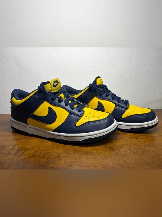 Nike Kids Dunk Low 