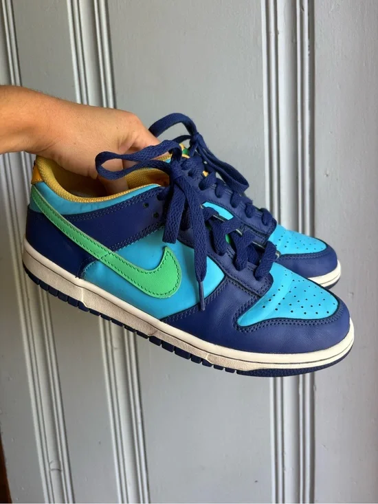 6.5Y Nike Dunks Blue & Teal Low-Top Sneakers