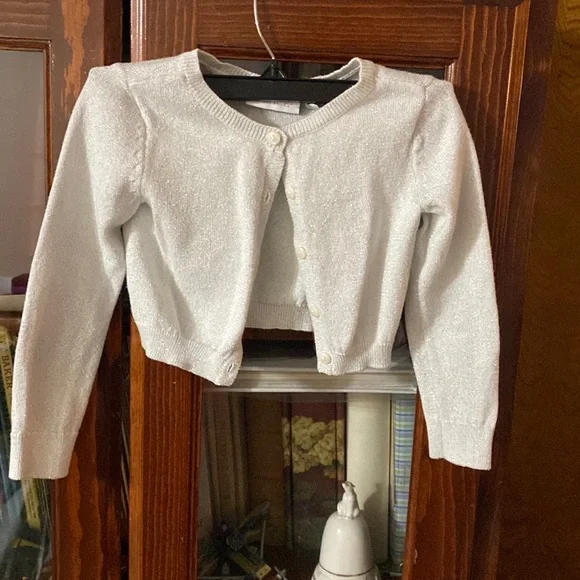 The Children’s Place Toddler Silver Sweater Size 4