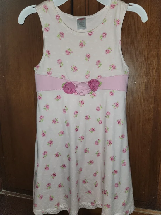 Gymboree Pink Floral Tank Dress with Rose Applique