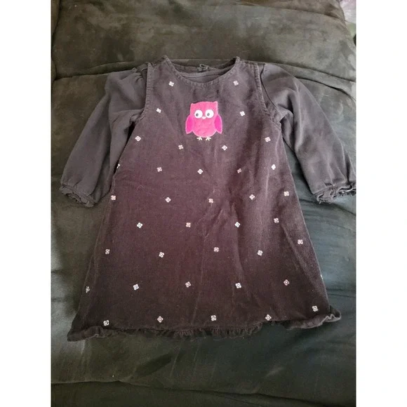 Gymboree fall homecoming owl dress‎ with brown shirt size 18 24 months