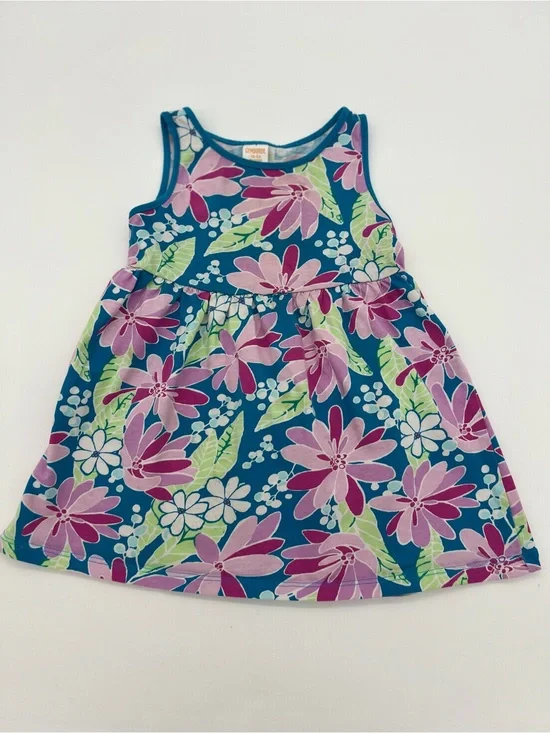 Gymboree Girls Baby Dress Multicolor Floral 100% Cotton