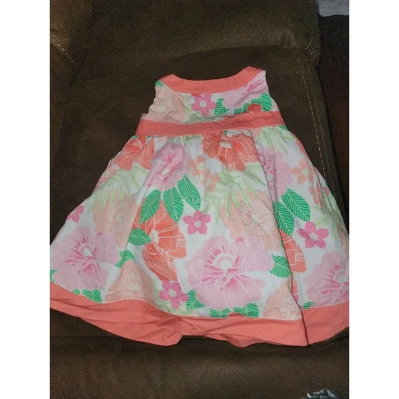 Gymboree fairy blossom floral dress size 12‎ 18 months nwot
