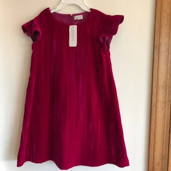 GYMBOREE Deep Pink Flutter Sleeve Velour Dress Girls 4