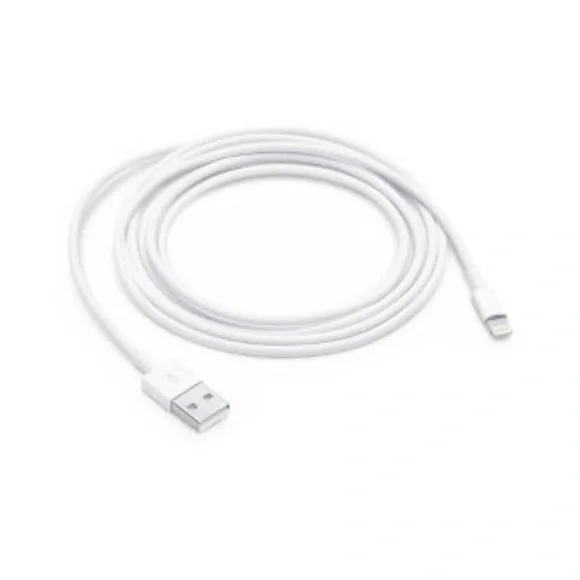 Apple Lightning to USB Cable