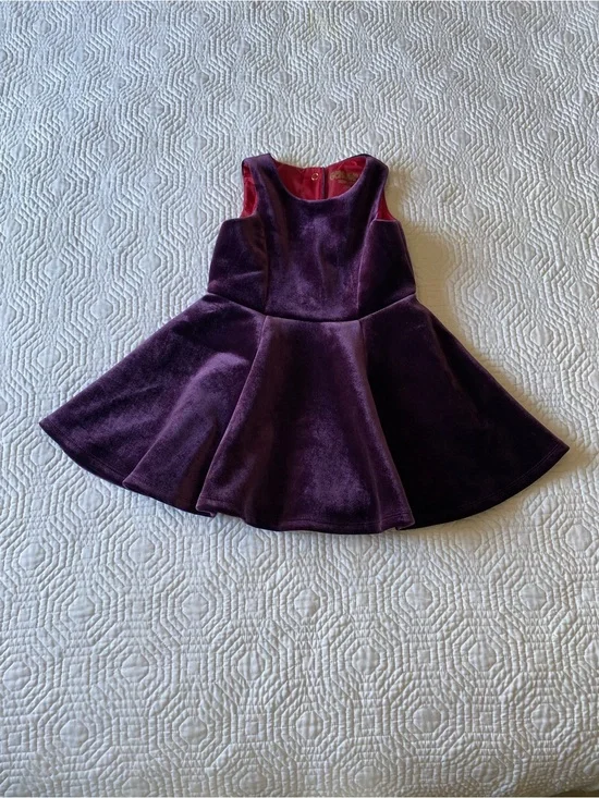 OshKosh B'gosh Genuine Kids Purple Velvet Fit And Flare Dress 3T Vintage Holiday