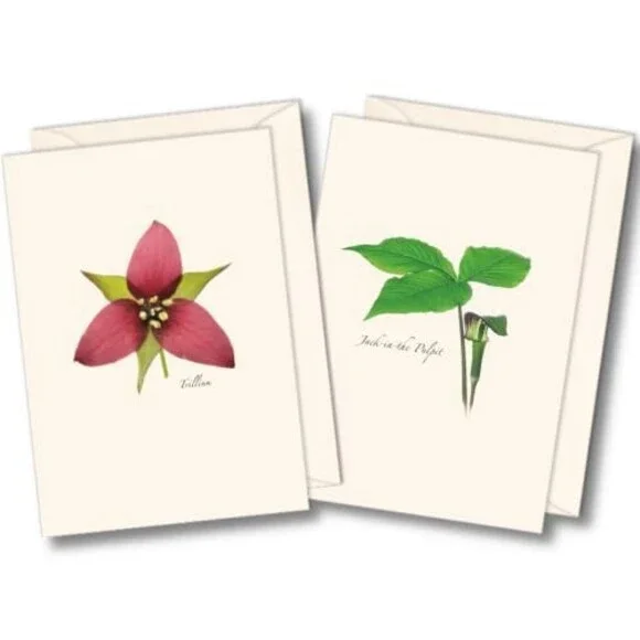 Earth Sky + Water - Wildflower Assortment II Notecard Set - 8 Blank Cards with E