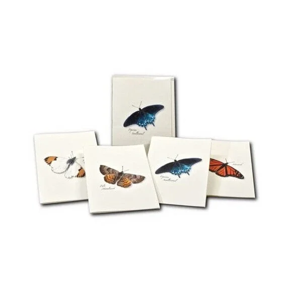 Steven M. Lewers Earth Sky Water LEWERSNC138 Western Butterfly Assortment II Not
