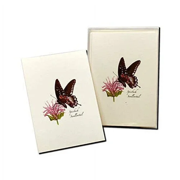 Earth Sky + Water - Spicebush Swallowtail Notecard Set - 8 Blank Cards with Enve