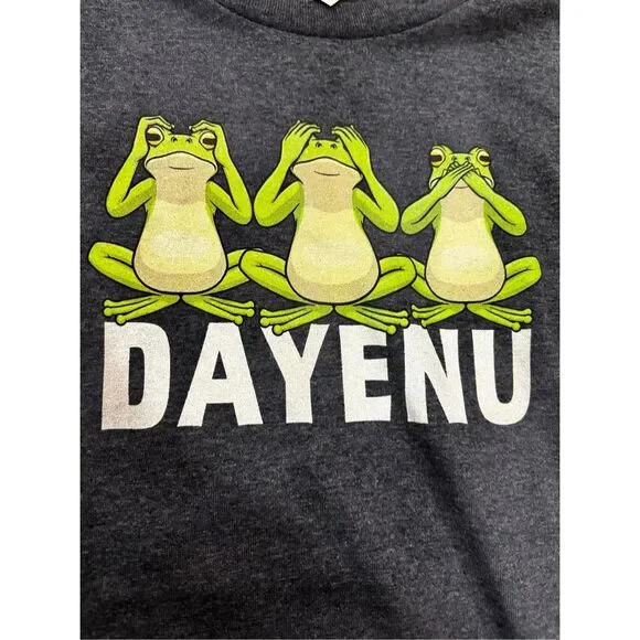 Passover Graphic‎ T-Shirt Dayenu Green Frogs on Grey Background Unisex Large