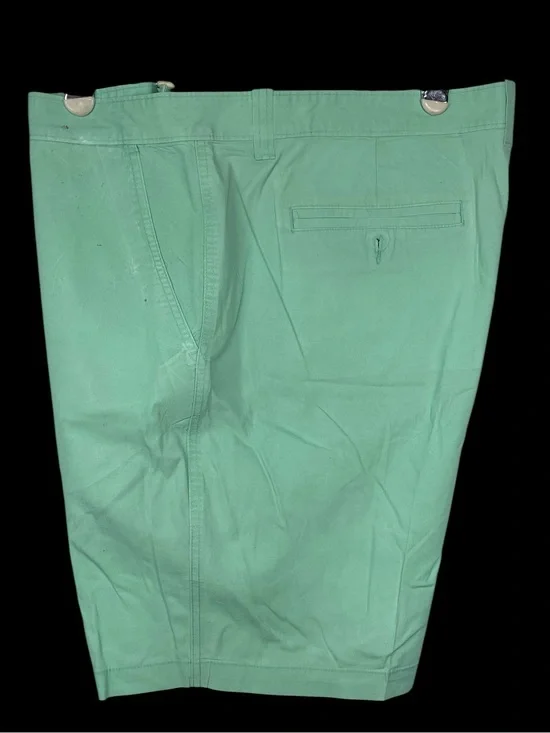 Magellan Outdoors Mint Green Flat Front Shorts Men’s 44W