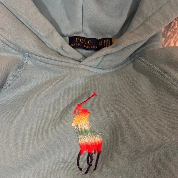 Polo Ralph Lauren Kids Aqua Hoodie with Colorful polo big pony Embroidery