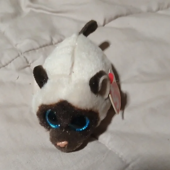 Ty - Plush Siamese Cat Toy - White and Brown- Teeny Tys