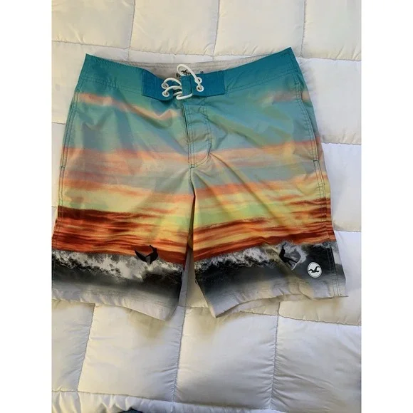 Hollister‎ Men's Board Shorts Size 32