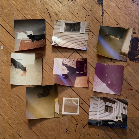 Vintage Photo Collection