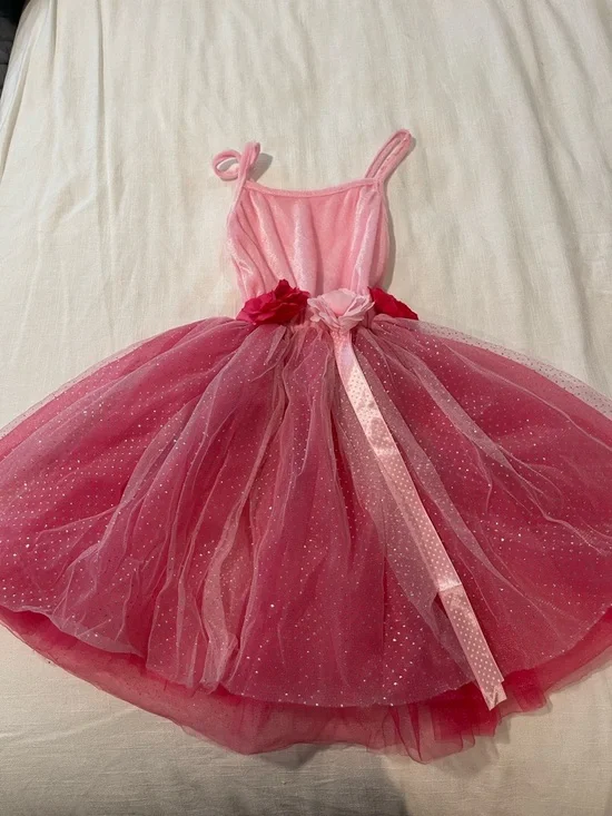 Expressions Hot Pink and Light Pink Sparkle Tulle Dance Dress with Floral Trim