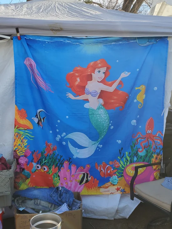 Disney Ariel Undersea Shower Curtain