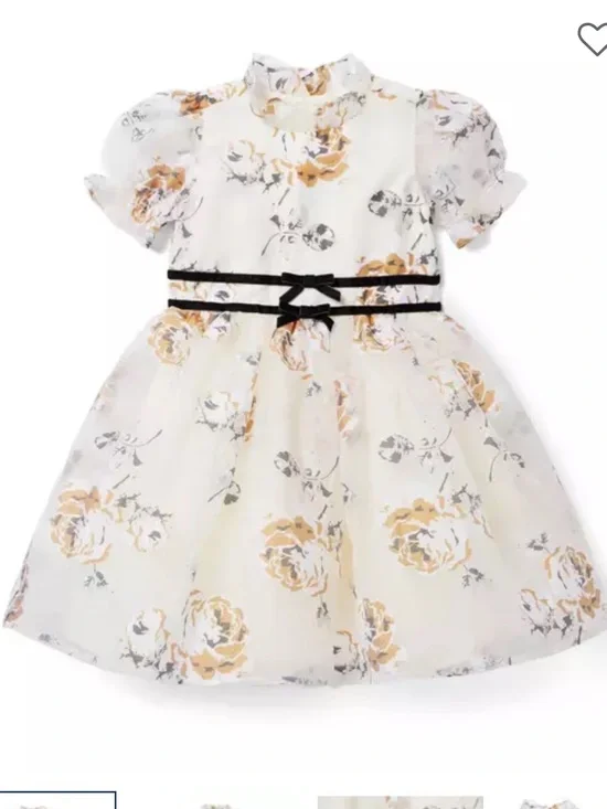 Janie & Jack The Winter Rose Dress Sz 4