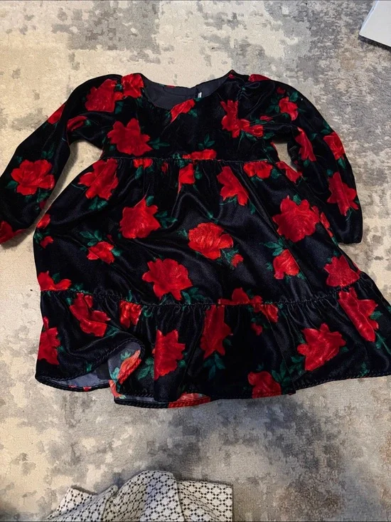 Janie and Jack Black Velvet Dress with Red Floral Print