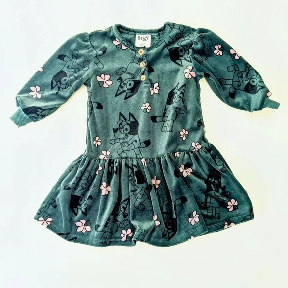 ⚡Toddler Girls' Bluey Velour Dress - Teal Blue