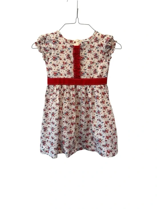The Dragon and the Rabbit Girls 4T Dress