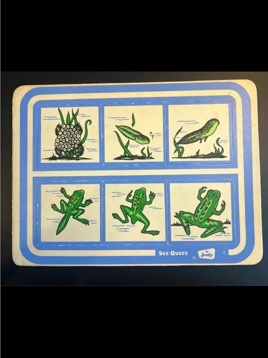 Vintage See-Quees frog Activity puzzle - Blue & Green