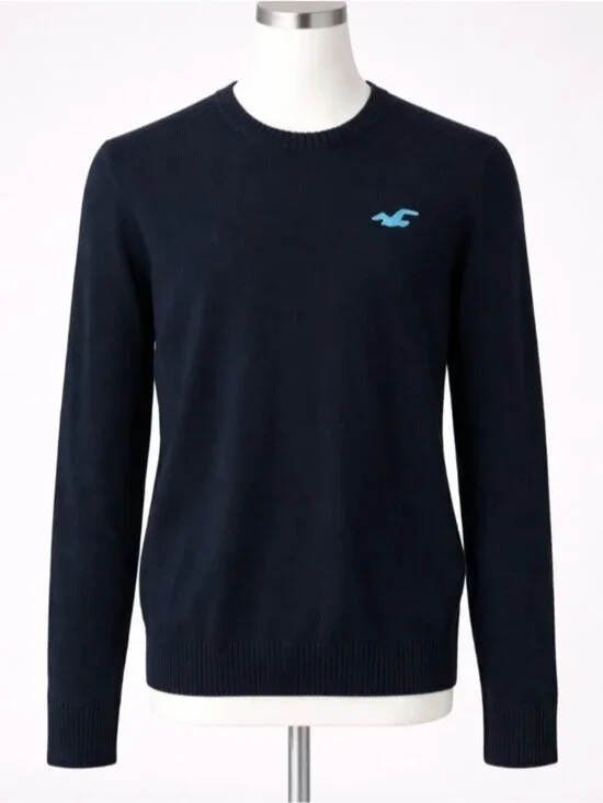 Hollister Crewneck Sweater