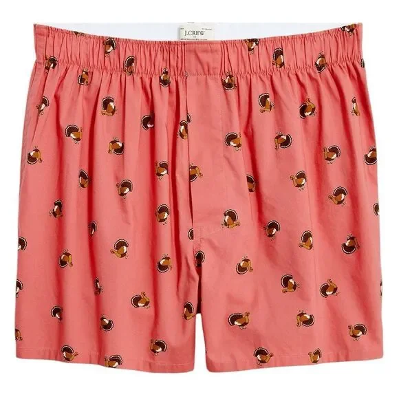 J. Crew Men’s Cotton Poplin Woven Boxer Briefs Turkey Graphic Print