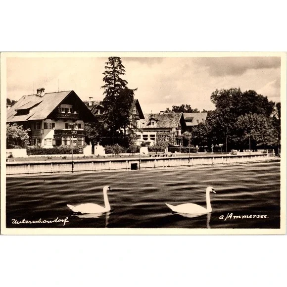 Vintage Black & White Postcard of Swans at Ammersee,‎ Unterschondorf