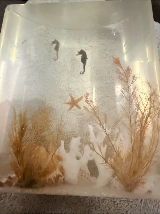 Natural Seagrass & Coral Aquarium Décor - Neutral Tan