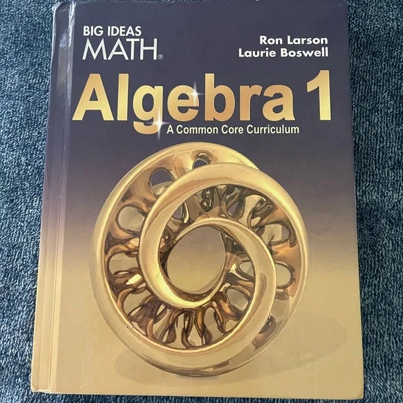 Big Ideas Algebra 1 Book - Purple Cover
