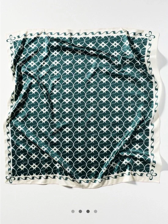 New! Anthropologie Color Icon Maeve 28” Neck Bag Hair Scarf NWT
