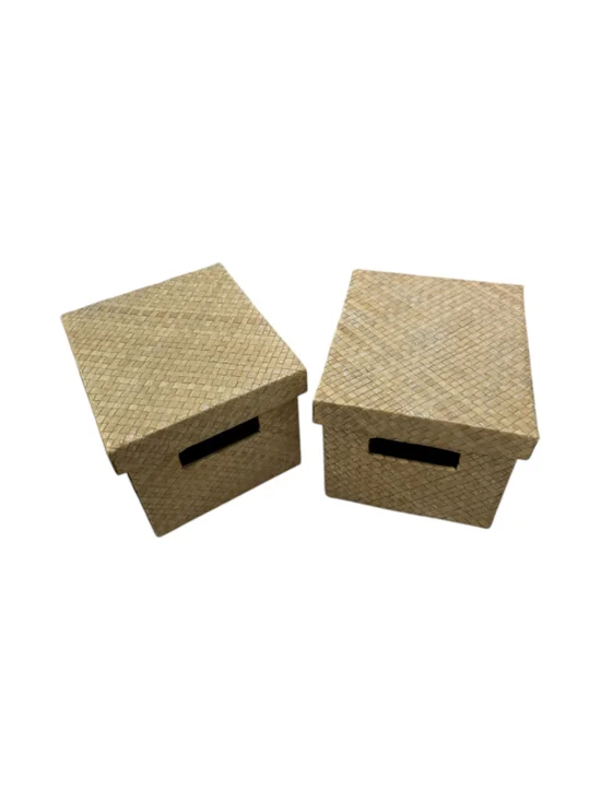 Set of 2 Metallic Rattan Storage Baskets with Lids