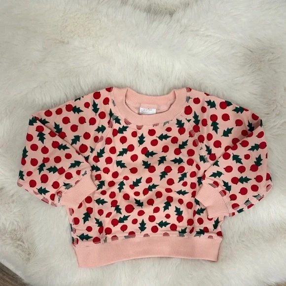 NWT Hanna Andersson Pink Holly Berry Christmas Holiday Festive Sweatshirt 2T