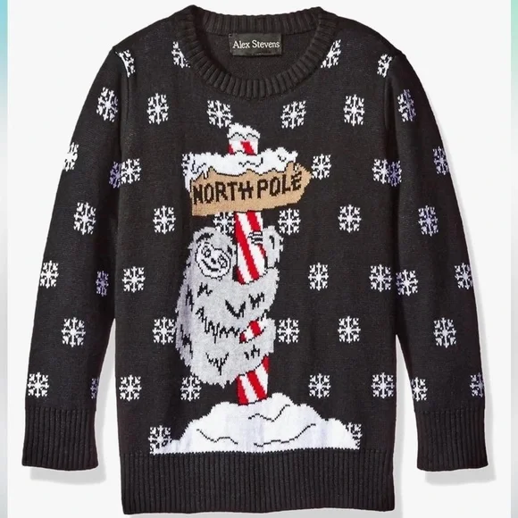 🖤 Alex Stevens Boys' Sloth Pole Sweater