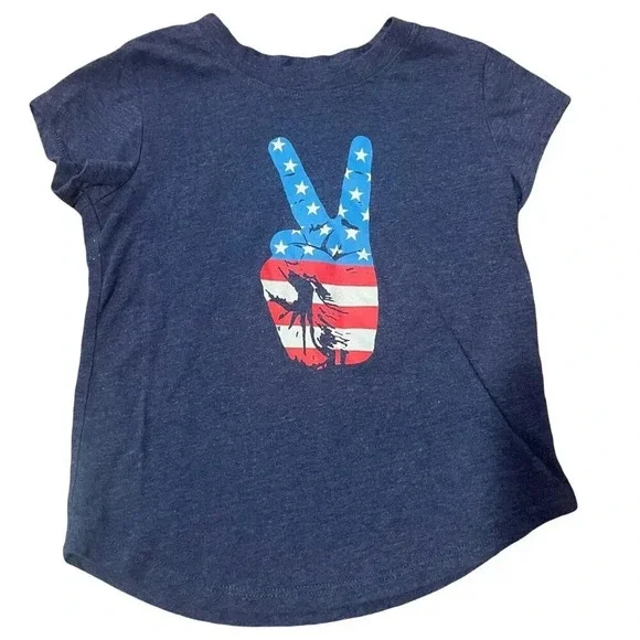 Family Fun 3T American Peace Tee, Unisex