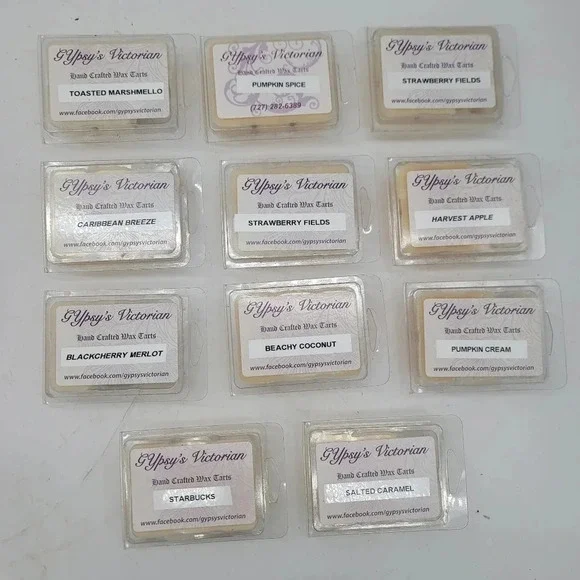 Lot of 11 Hand-Crafted 100% Soy Wax Melts Pumkin Starbucks Marshmallow Breeze C
