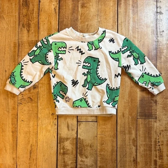 H&M Cream graphic Sweatshirt 2T Green Dinosaur crew neck unisex cotton