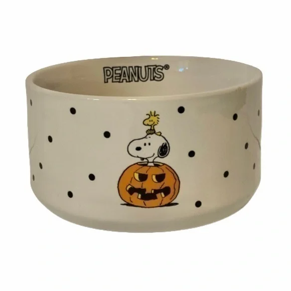 NWT. RAE DUNN X PEANUTS Snoopy Spooktacular Candy Bowl/Pet