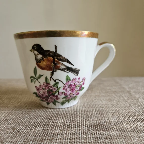 Schumann‎ Arzberg Teacup