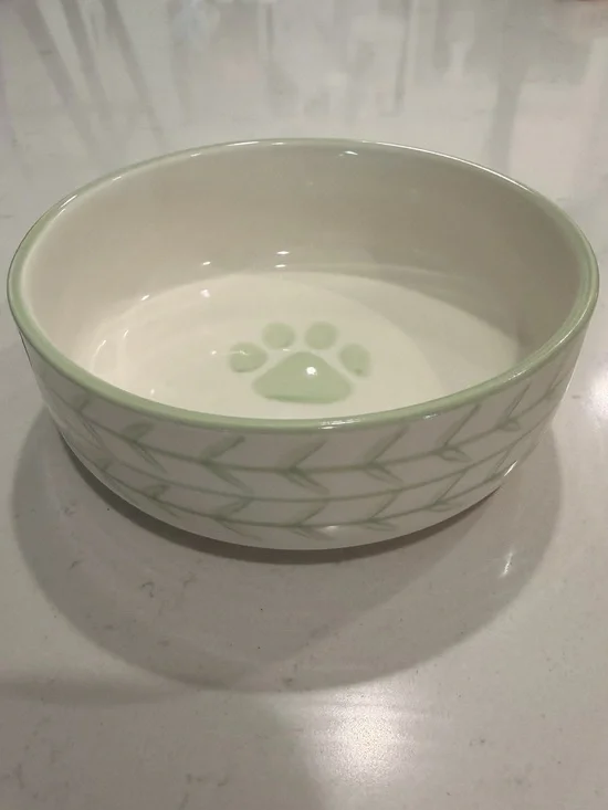 Ceramic Dog Bowl with Mint Paw Accent - Mint/White