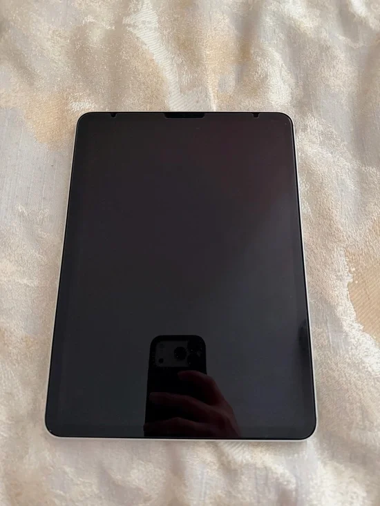 Cellular Network Apple iPad 1st Gen 2018 256GB in Silver
