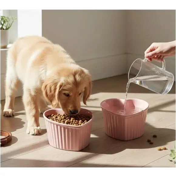 Pink Ceramic Raised Pet Bowl Tilted Elevated Cat Dog Food Water Dish Chip