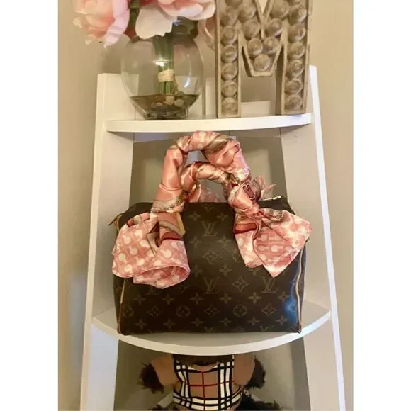 ISO: Louis Vuitton Speedy 25 Accessories