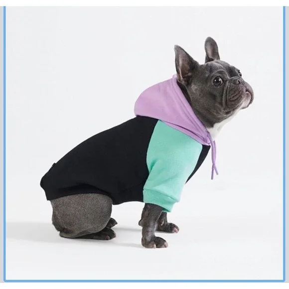 Colorblock Pet Hoodie Black Lavender Mint Pink Dog Sweatshirt Medium