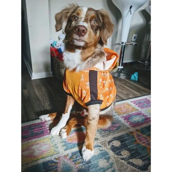 Dog Halloween Orange Skull Hoodie
