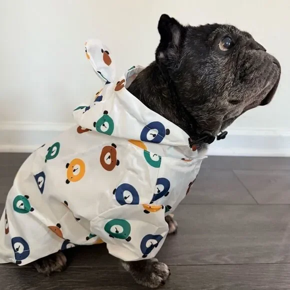 Stylish Dog Raincoat with Bear Print