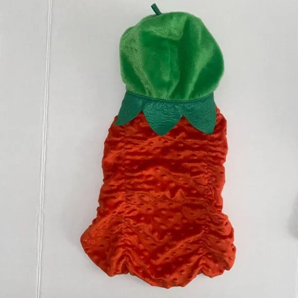 🌸🔥HP🔥DOG‎ Costume